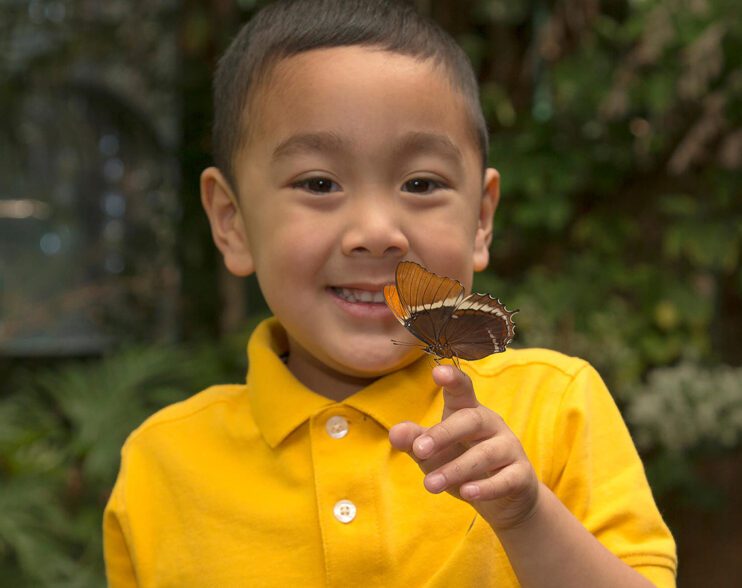 Celebran la primavera con “Butterfly Jungle”
