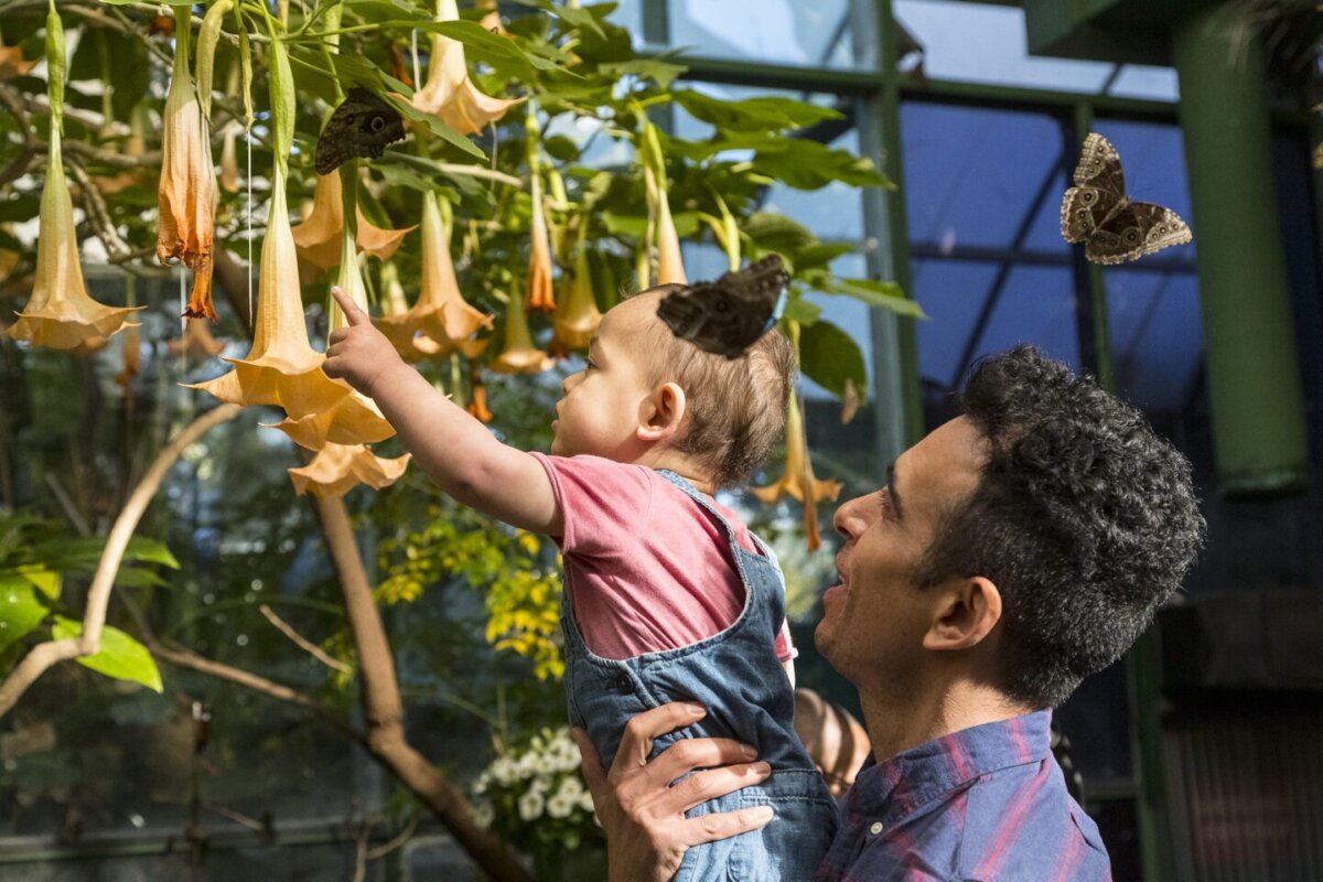 Safari Park celebra la primavera con “Butterfly Jungle”