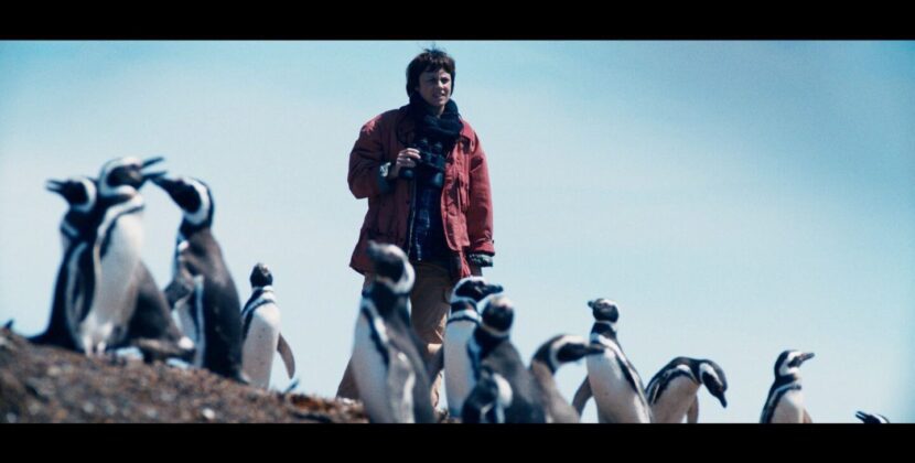 Alexia Moyano estrena personaje en “My Penguin Friend”