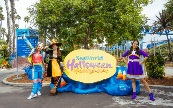 Espectacular regreso de SeaWorld con aventuras piratas, tesoros de «dulce o truco”