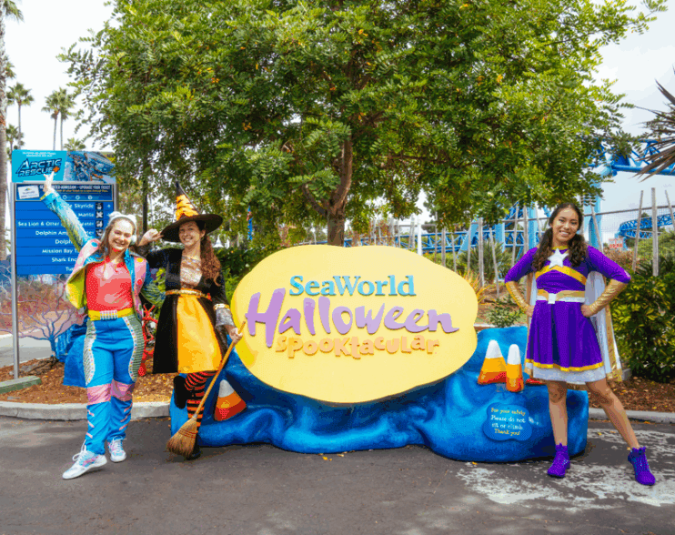 Espectacular regreso de SeaWorld con aventuras piratas, tesoros de “dulce o truco”