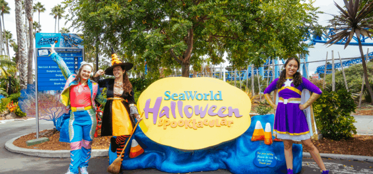 Espectacular regreso de SeaWorld con aventuras piratas, tesoros de «dulce o truco”