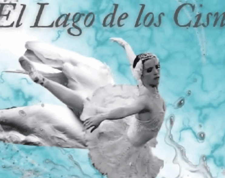 “El Lago de los Cisnes”, en el Teatro Camafeo