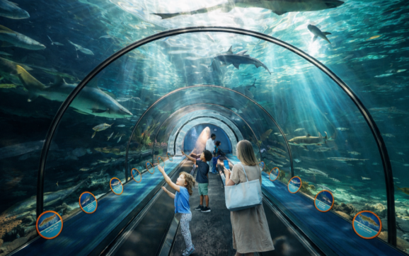 SeaWorld San Diego presenta un verano Espectacular 