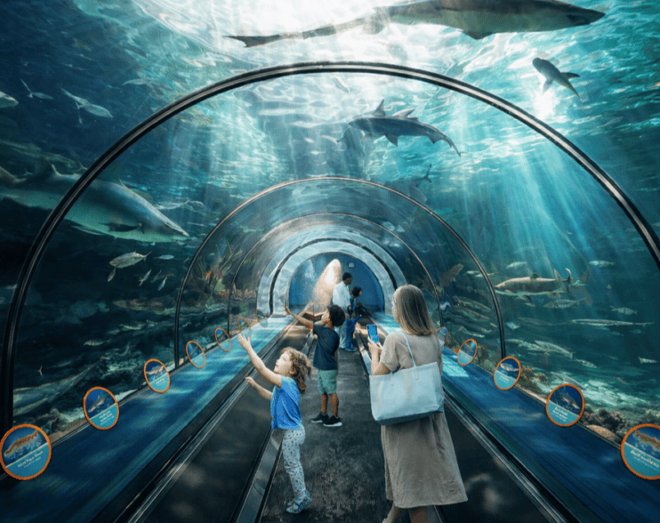 SeaWorld San Diego presenta un verano Espectacular 