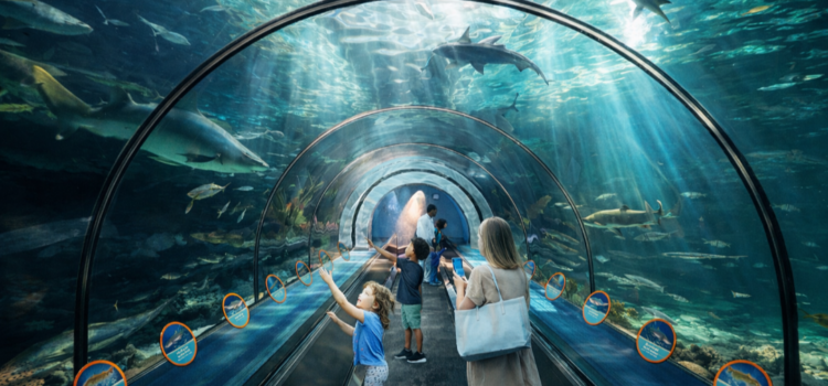SeaWorld San Diego presenta un verano Espectacular 