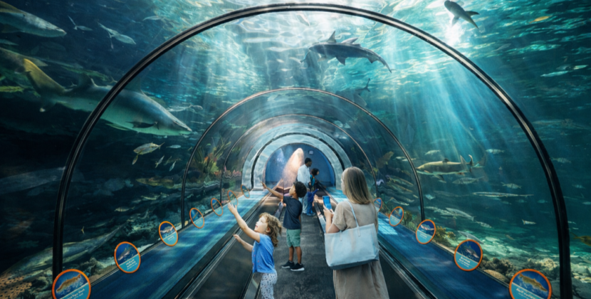 SeaWorld San Diego presenta un verano Espectacular 